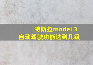 特斯拉model 3 自动驾驶功能达到几级